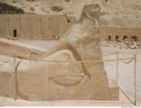 Photo Texture of Hatshepsut 0206